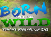 Born To Be Wild September 21 2025